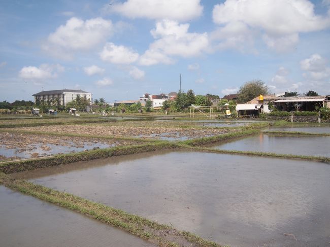 主人と娘が、ミー８８の汁なし麺食べたいー<br /><br />っつーもんで、Nookを後にし、来た道を引き返す。