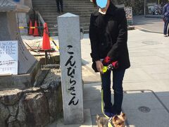 　御本宮まで785段。よいよスタートです。ちなみに金毘羅さんは犬ＯＫです。というより寧ろ歓迎されています。昔、主人の代わりに金毘羅さん詣でをした犬がいたようで、それ以来”お犬様”は縁起がいいと歓迎されており、今回はジロも堂々と真ん中参道をとおってお詣りできます。