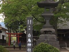 入り口に真田丸ゆかりの神社がありました。ケヤキの御神木。