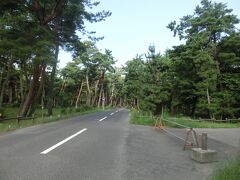 観光通りから20分ぐらいで一応着いた。
これ?