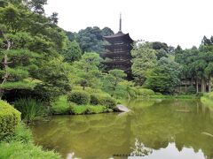 瑠璃光寺五重塔は、国宝。　大内文化の最高傑作といわれる
　屋根は、檜皮葺の造りになっている

屋外にある五重塔としては日本で10番目に古く、京都の醍醐寺・奈良の法隆寺のものとならび日本三名塔の一つに数えられることもある
写真は「国宝」の「大内文化の最高傑作」といわれる「瑠璃光寺五重塔」
毛利輝元が萩入りし、香積寺を萩に引寺
跡地に仁保から瑠璃光寺を移築しました

これが今日の姿です
京都の醍醐寺・奈良の法隆寺のものとならび日本三名塔の一つに数えられる

