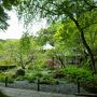 春の鎌倉 お寺の庭園と古民家カフェめぐり