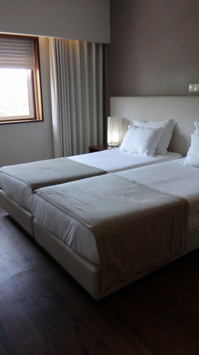 さて、ホテルは、またまた細かいトラブル続出でしたが、アヴェイロのような、いやなスタッフではなく、スタッフは、いろいろ世話してくれたので、ヨシとしましょう。<br />ただ、ホテルの規約を読んでいると、「ホテルの外で買ったものを、部屋に持ち込んでの飲食禁止」と書かれてました。<br />げっ、いつも食べてるのに・・・<br />ポルトガル語の規約だけだったので、読まなかったことにして、いつものように食べましたが、やはりちょっと遠慮して、食べ物のゴミは、自分で町のゴミ箱に捨てに行きました。