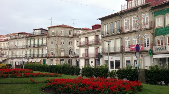 ブラガと同様に、花を咲かせてくれていて、写真にバッチリ