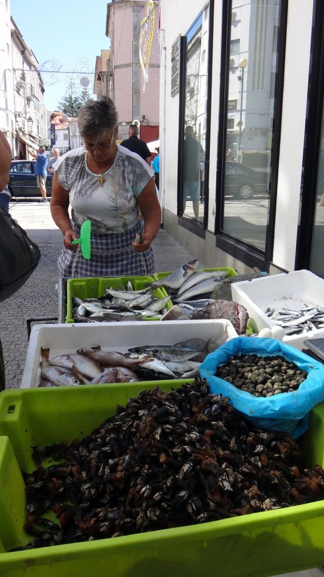 魚売りのオバサン。<br />スペインでも、珍味として人気の、ペルセベス(亀の手)とか、ポルトガル人の大好きなイワシとか、売られてました。