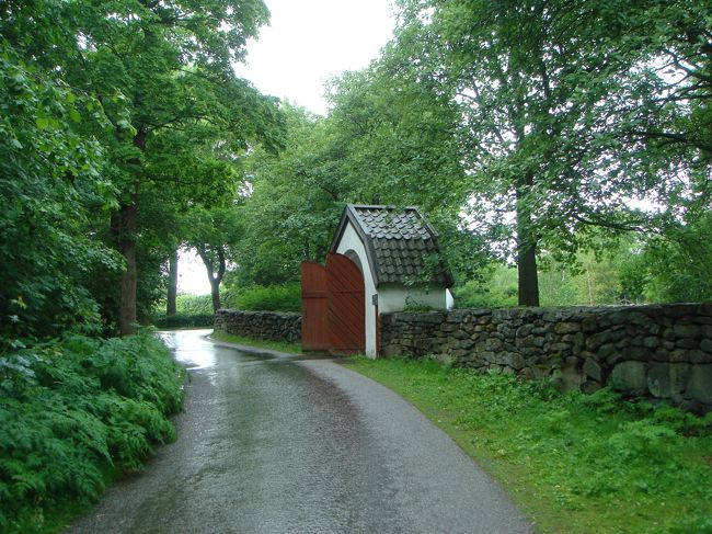 まだ小雨が降ってます。