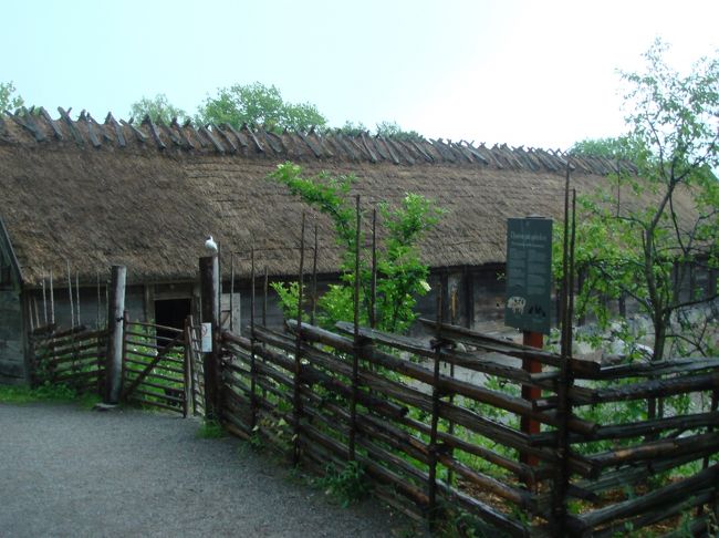この辺りはから動物園。どちらかと言うと牧場のようにも思えます。