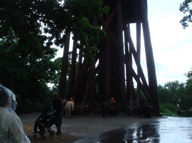 巨大な木造のやぐらの下で馬も雨宿りです。