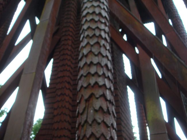 ここもウロコ模様。