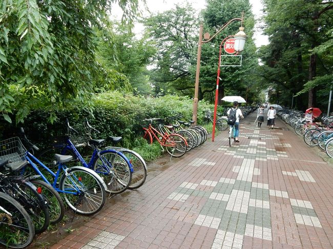 キャンパスの至るところに自転車が停めてあります。自転車通学が多いのですね。