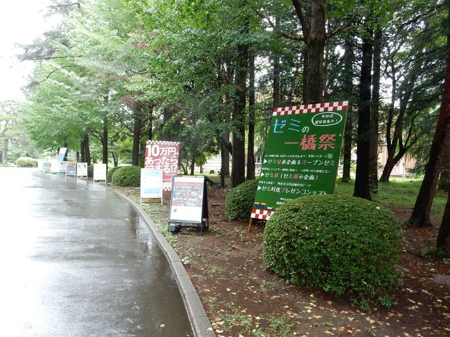 門を入ると文化祭の看板がありました。一橋祭と書いてありました。これはイッキョウサイと読むそうです。