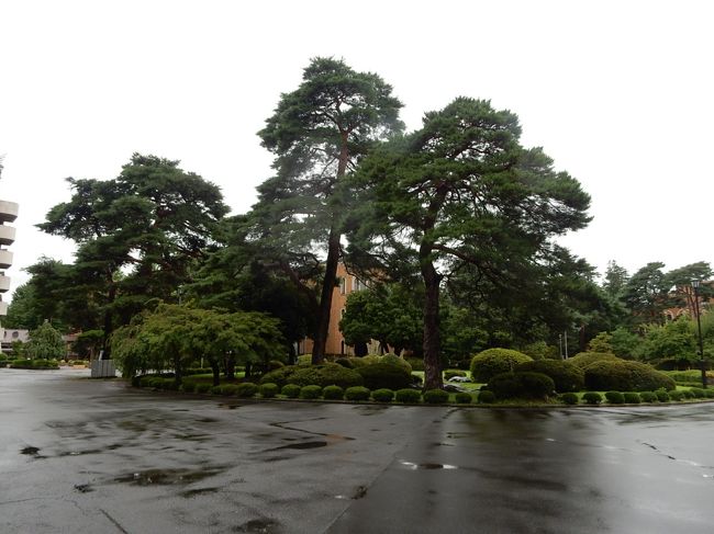中央によく手入れされた松の木が目に入りました。