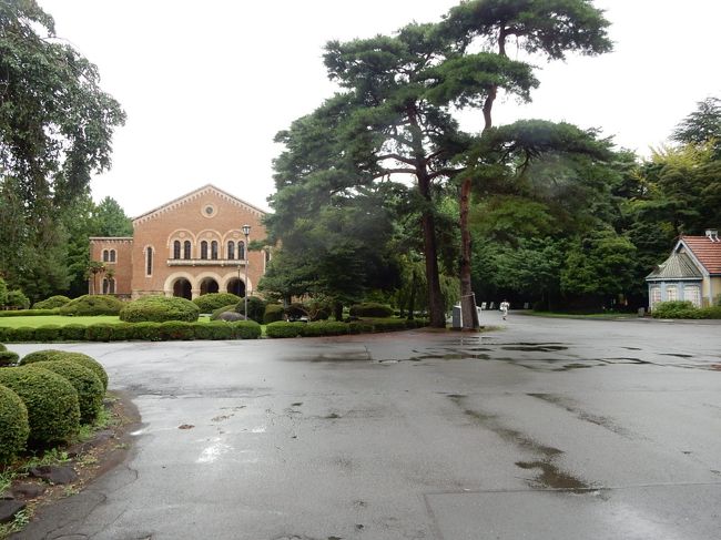 松の後ろに兼松講堂がありました。