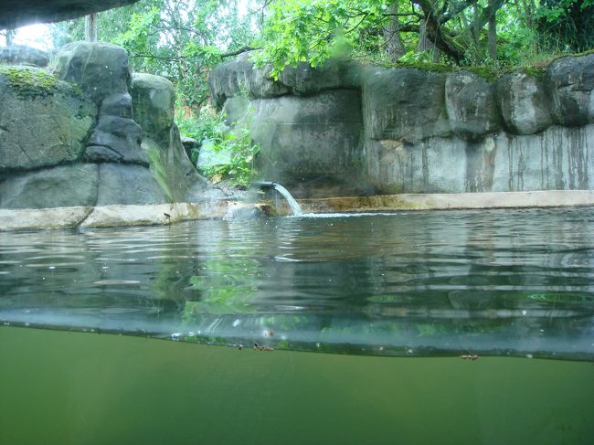 ガラス張りでこちらからよく見えます。