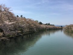 　青森から30分、弘前に移動してきました。この年は寒かったこともあり、まだ桜が咲いていました。写真ではよく判りませんが、お堀に桜の花ビラが浮かんでいて上も下もピンクに染まって綺麗でした。