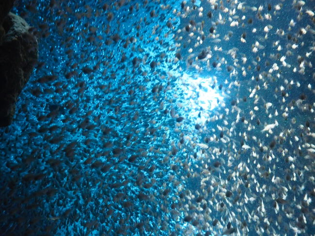 洞窟の中のスカテン！