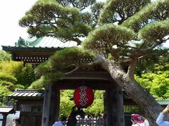 続いて、長谷寺へ。鎌倉観光王道ルートです。こちらも観光客が多かった。