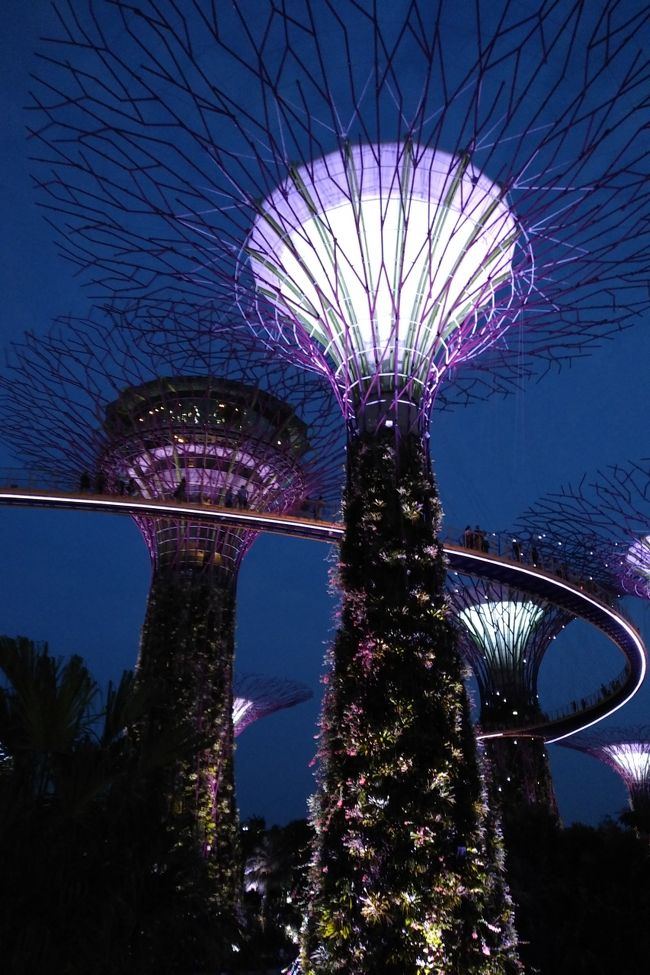 まだ夜も明るいので酔い覚ましにガーデンズバイザベイへ。ブギスからはダウンタウン線で２駅なので楽っすね。この日のシンガポールは非常に涼しく（昨日は長い雨）、快適でした。私はこの塔の下でごろんしてて、気持ち良くなり３０分くらい寝てしまったかも