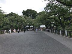 せっかくだから北の丸公園行こう
