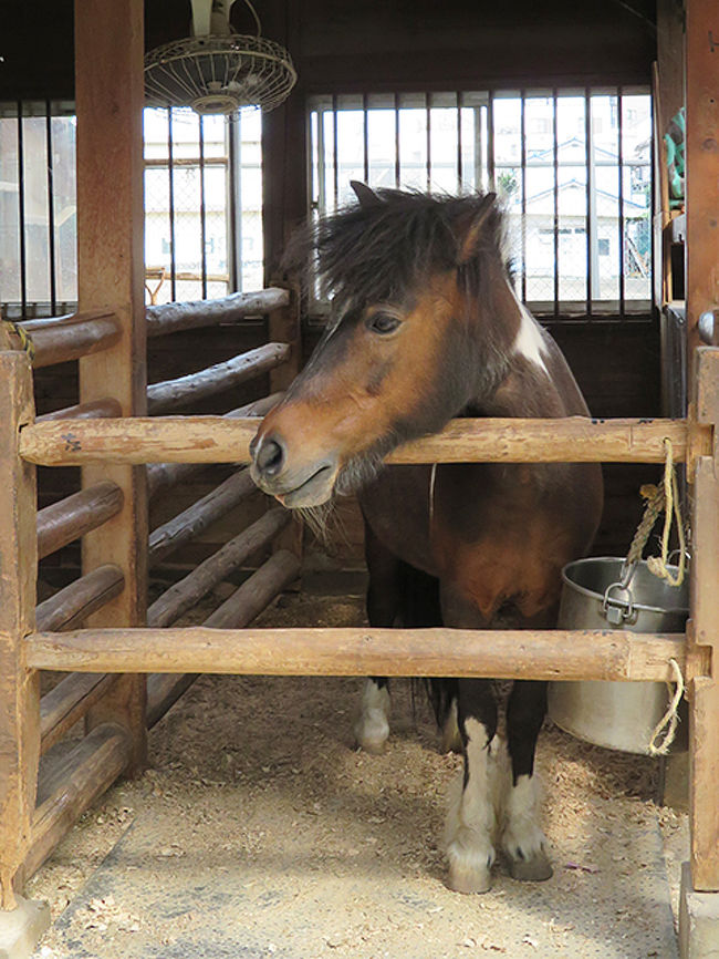 色合いが似ているけど、こちらはさくら