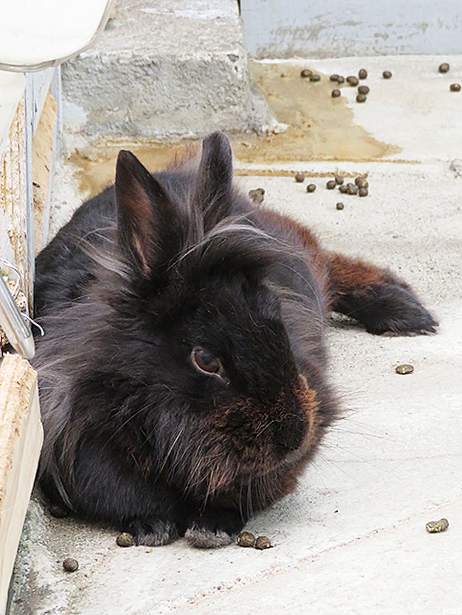 なんかヘアスタイルがカッコイイね