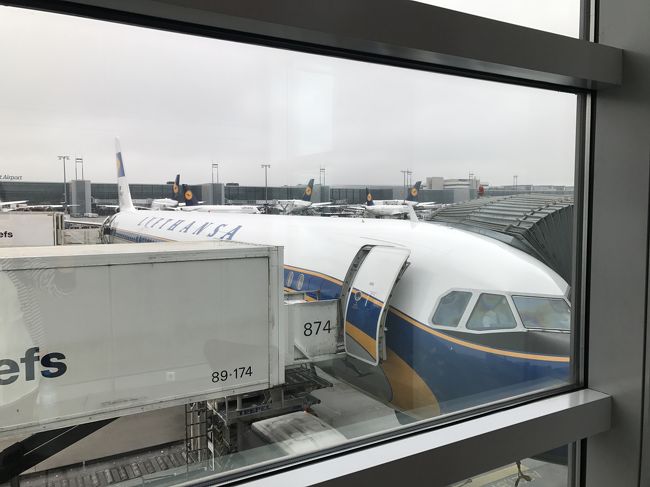 LH1176 FRA 09：35 - OPO 11：15<br /><br />な、な、なんと！LH特別塗装機でした！！飛行機マニアでもある私は大興奮！！<br /><br />まさかこんなところで出会えるなんて、幸先良い旅です！！<br /><br />ちなみにFRA→OPOは日本人が10人ほどいてビックリでした。<br />（HND→FRAから一緒だった人もいました）