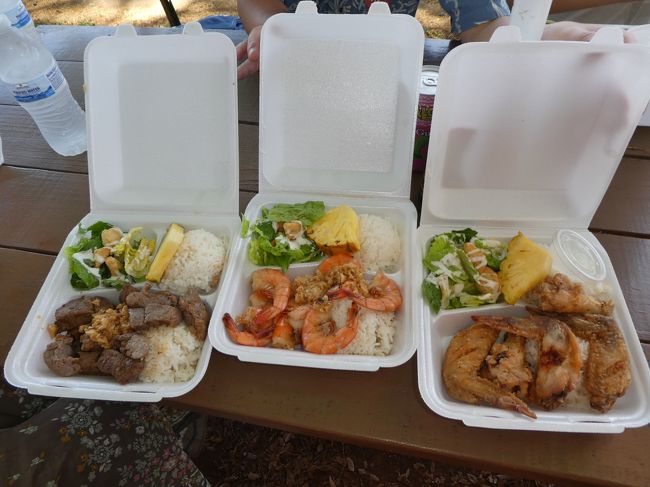 5つ頼むのも何なのでビーフとチキンも頼みました。ちなみにシュリンプは殻付きなので、手がものすごく汚れます。チキンは手羽先のガーリック味、ビーフは固い牛肉のガーリック味です。