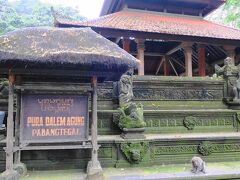 今日はカーチャーターをしてウブドへ。カーチャーターは１日６０万ルピア。日本円で約５０００円で、どこにでも連れてってくれます。まずはモンキーフォレスト。