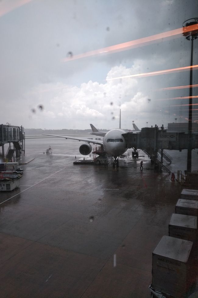 外は大雨でした。今回シンガポール（クアラルンプールも）は雨ばかりでしたが、スコールのようなすぐ止んで晴れるような雨では無く、ずっと降ってるという変な天候でしたね。日本もすごい天候だったようなので関係あるのかなぁ。