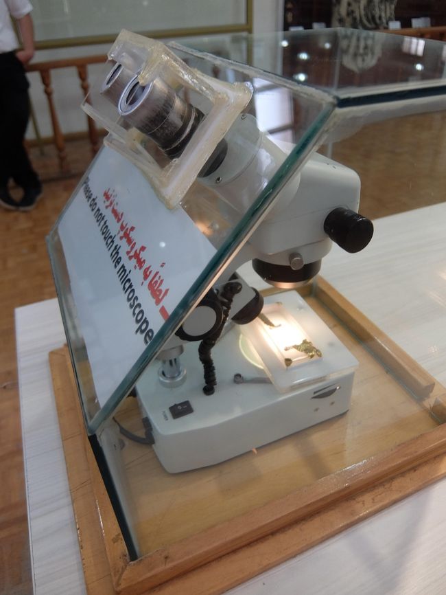 聖書の一節が記された毛髪を顕微鏡で見られます。