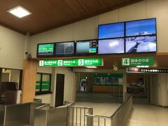 立山駅に到着すると、そこは多くの人でごった返していた
立山富山アルペンルートの切符を購入するのに列ができており、２０分間ほどかかった
窓口はたくさん用意されているのだが、窓口で話し込む人や外人も多く、さばくスピードが遅い、ネット予約は別窓口だったので、次回からはそうすべきだとおもう