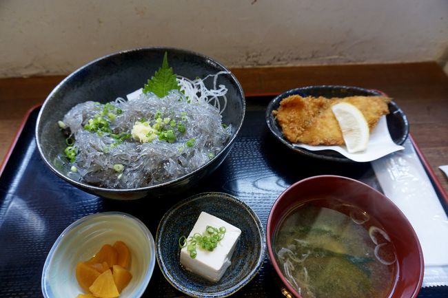 湘南で１泊 憧れの生しらすを食べに行く 平塚 大磯 神奈川県 の旅行記 ブログ By Shuuu1983さん フォートラベル