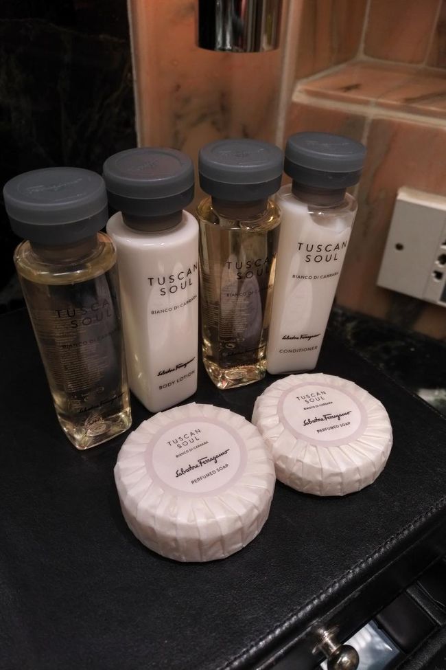 インタコ標準のアグラリアに加えてこちらも提供されていました