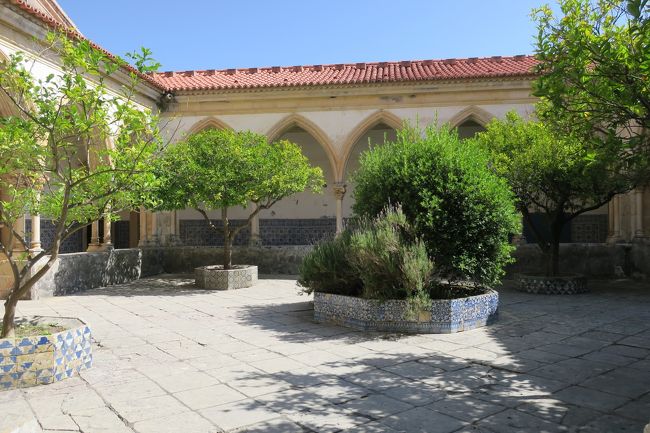 早速見学開始です。