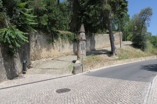 分かれ道がありました。<br />スマホの地図は、左の道を示しています。<br /><br />左が歩行者専用で、右が車専用の道のようです。