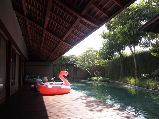 ｷﾀ━━━━（ﾟ∀ﾟ）━━━━ｯ!!!!