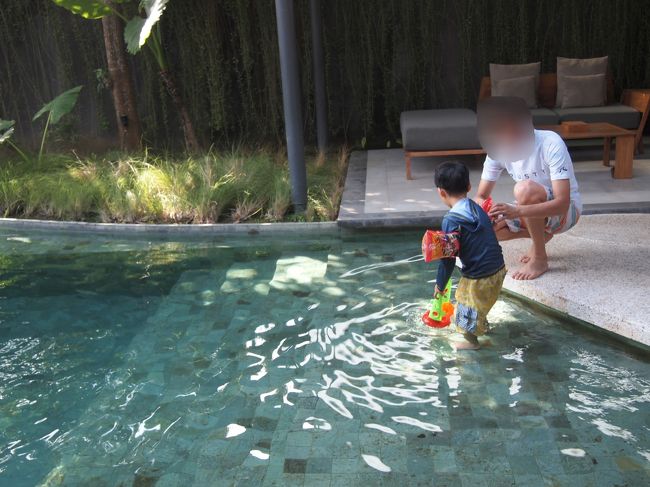 リビング前の飛び石エリアは、浅くなっていて、小さなお子ちゃまが遊ぶにはとても重宝なゾーン。<br /><br />見えずらいですが、ここから段々になっています。