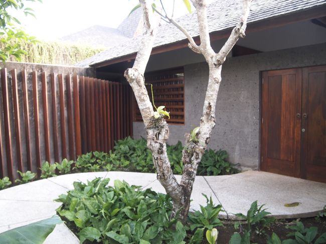 アプローチがわくわく感を盛り上げます。