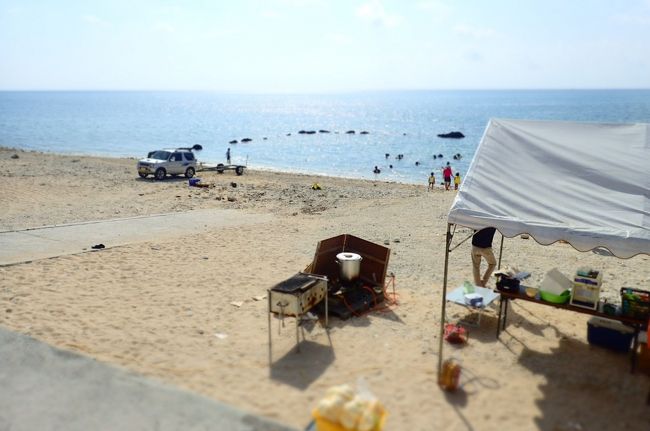 かなかな？？？？？