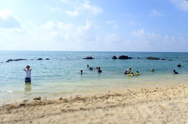 みたい。<br />ゆかいな仲間たちは白保ではここでしか泳がなかったのかな？<br />潮が満ち満ちだねぇ。