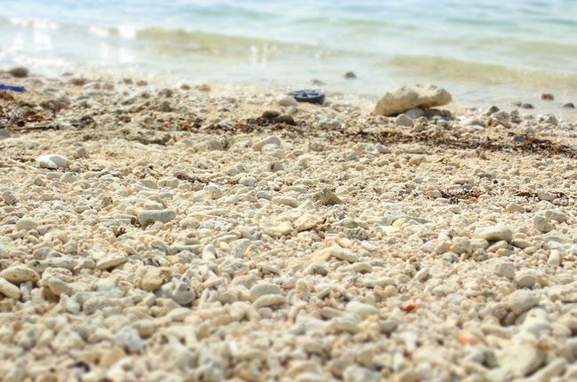 うちの箸置きはここから拾ってくることが多いな。