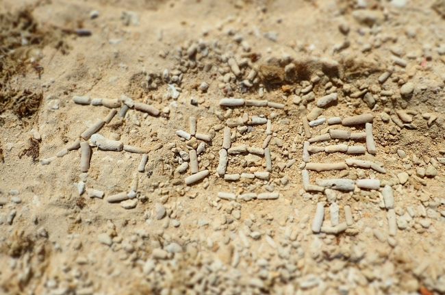 トップでも使いましたが、いいね、これ　(^▽^)<br />だれが作ったの？？りょうたかしら？？