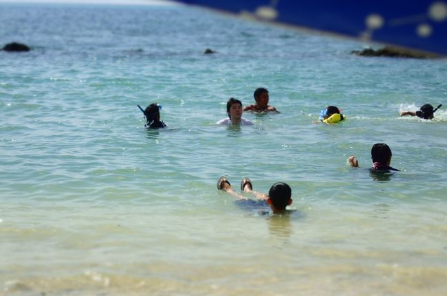 珍しくたくさん泳いでいるのは小学生なのかな？