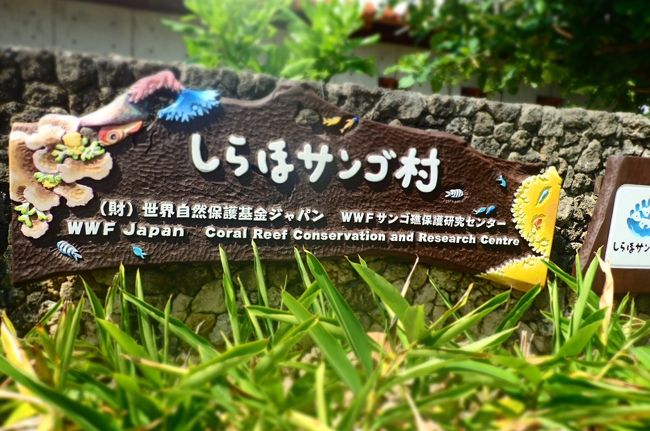 しらほサンゴ村。