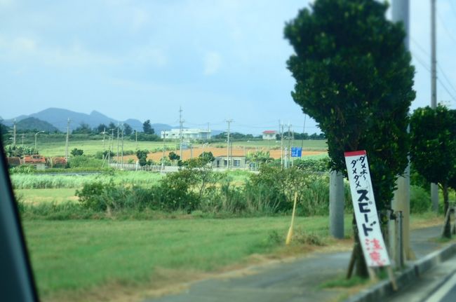 スピード注意。<br />レンタカーはスピード出してる車が多いんだけどね<br />ジモティのおじいの車は20キロくらいで走ってる車も多いんだよね(;'∀')