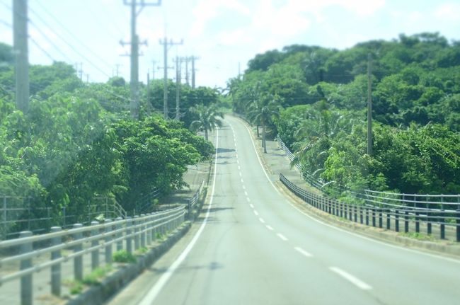 どこいくのかなぁ。