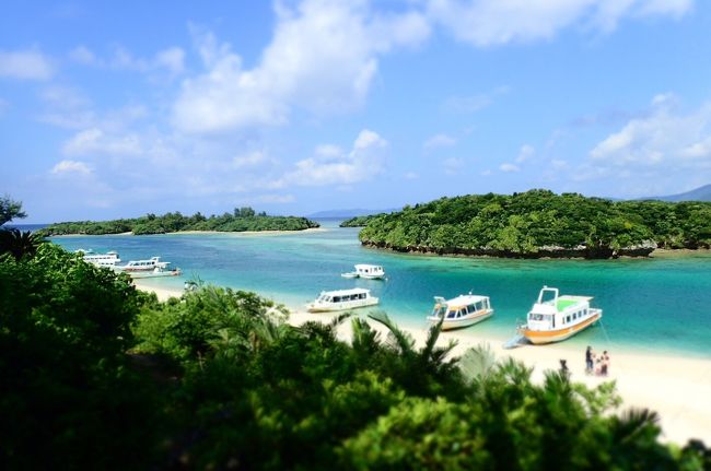 あれ、ダイビングの時見学しなかったんだね。