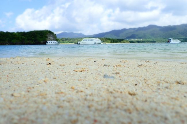 きれいなんだけどね。