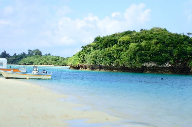 うん。きれいよね。