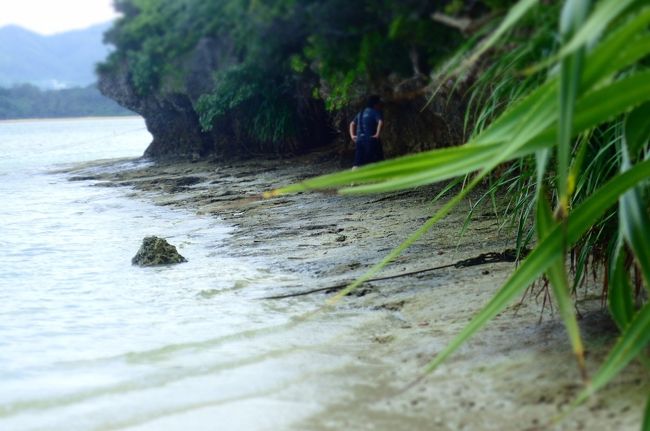 どこ行くのかな。探検？